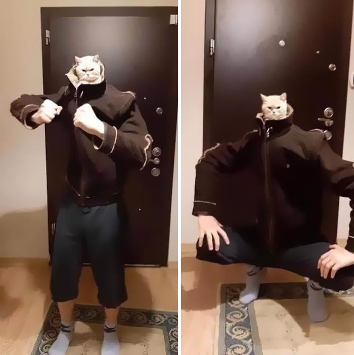 Funny-Nonsense-Animal-Images