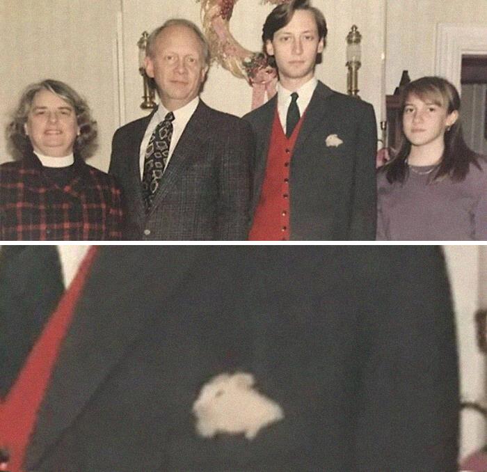 Funny-Nonsense-Animal-Images