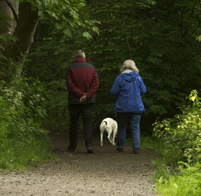 20 Personas comparten honestamente cuál es su rasgo más tóxico