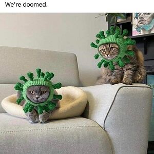 rikkewickberg avatar