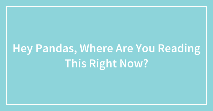 Hey Pandas, Where Are You Reading This Right Now?