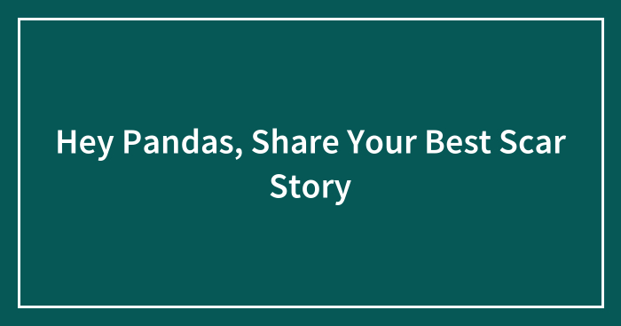 Hey Pandas, Share Your Best Scar Story