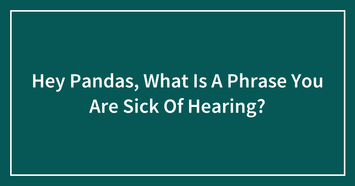 Hey Pandas, What Is A Phrase You Are Sick Of Hearing? (Closed)