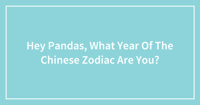 Hey Pandas, What Year Of The Chinese Zodiac Are You?