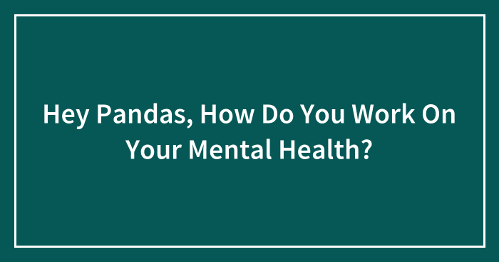 Hey Pandas, How Do You Work On Your Mental Health?
