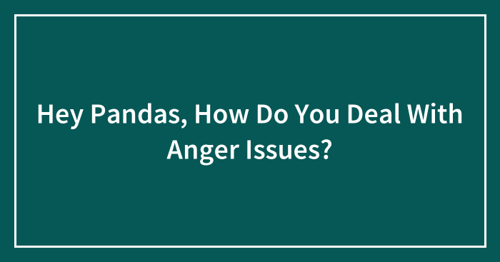 Hey Pandas, How Do You Deal With Anger Issues? (Closed)