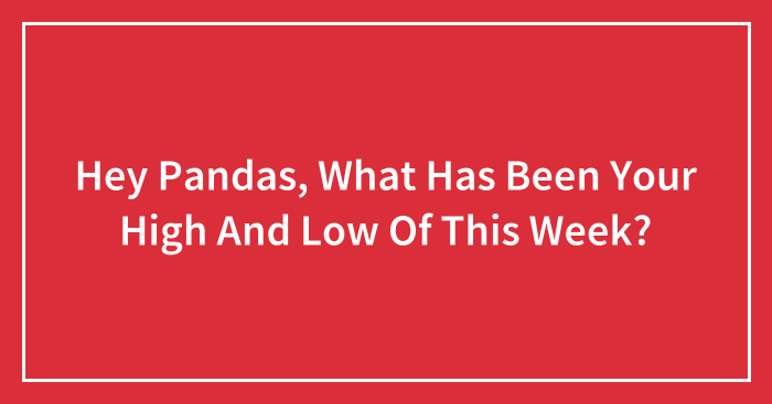 Hey Pandas, What Has Been Your High And Low Of This Week? (Closed)
