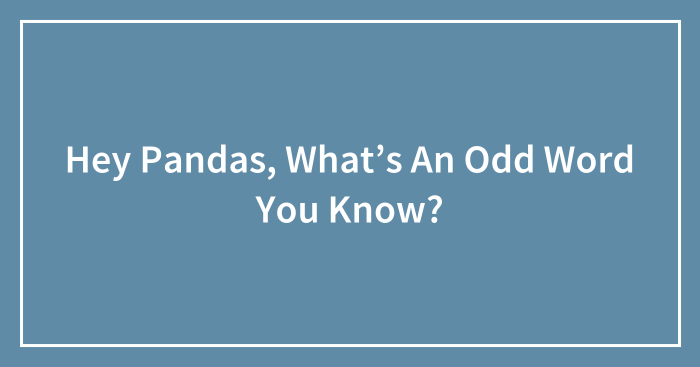 Hey Pandas, What’s An Odd Word You Know? (Closed)