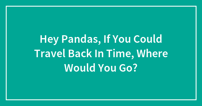Hey Pandas, If You Could Travel Back In Time, Where Would You Go? (Closed)