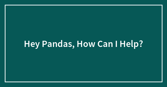 Hey Pandas, How Can I Help?