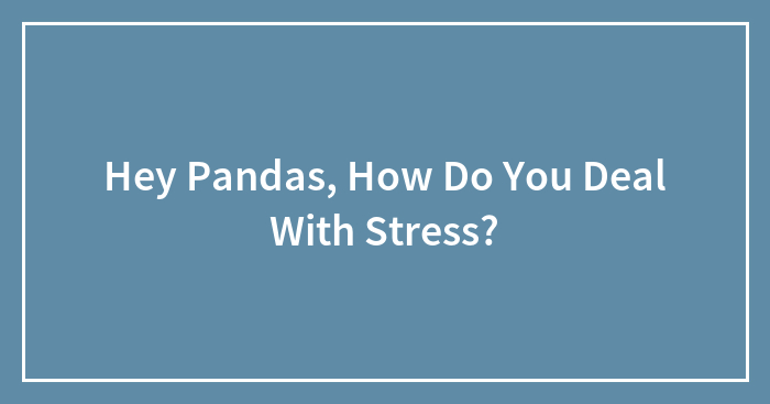 Hey Pandas, How Do You Deal With Stress?