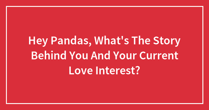 Hey Pandas, What’s The Story Behind You And Your Current Love Interest?