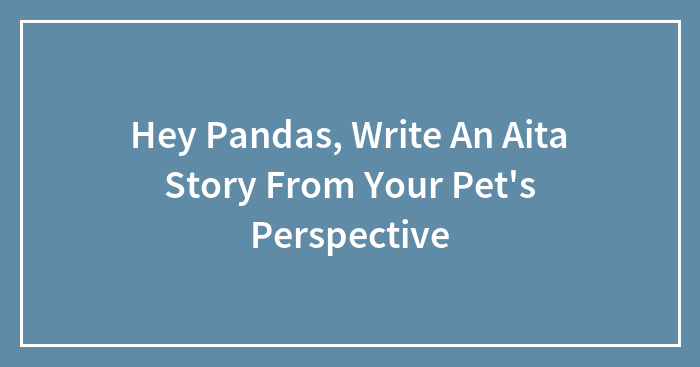 Hey Pandas, Write An Aita Story From Your Pet’s Perspective