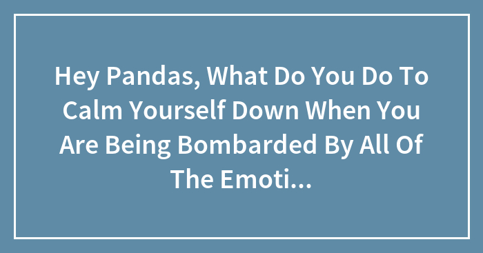 Hey Pandas, What Do You Do To Calm Yourself Down When You Are Being Bombarded By All Of The Emotions? (Closed)