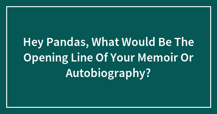 Hey Pandas, What Would Be The Opening Line Of Your Memoir Or Autobiography?