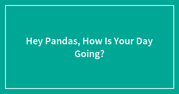 Hey Pandas, How Is Your Day Going? (Closed)
