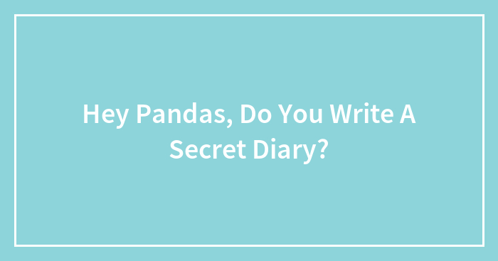Hey Pandas, Do You Write A Secret Diary? (Closed)