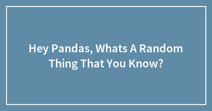 Hey Pandas, Whats A Random Thing That You Know?