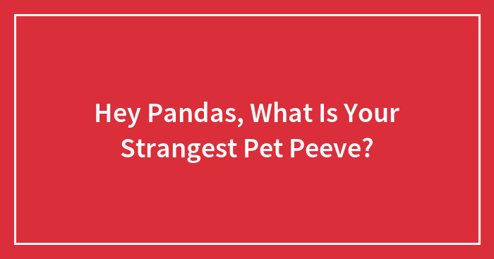 Hey Pandas, What Is Your Strangest Pet Peeve? (Closed)