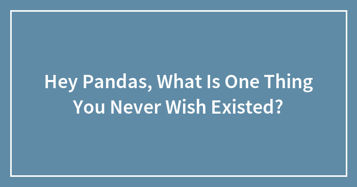 Hey Pandas, What Is One Thing You Never Wish Existed? (Closed)