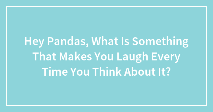 Hey Pandas, What Is Something That Makes You Laugh Every Time You Think About It? (Closed)