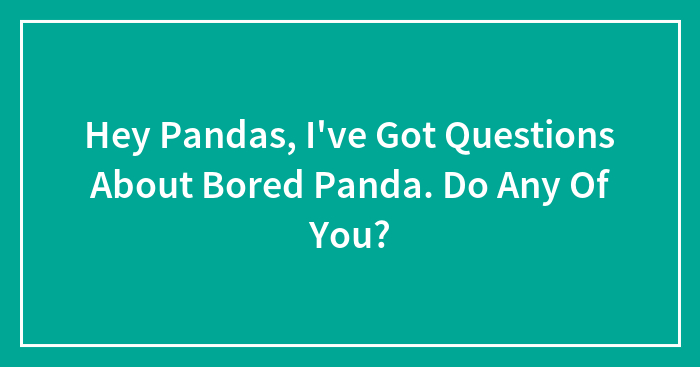 Hey Pandas, I’ve Got Questions About Bored Panda. Do Any Of You? (Closed)