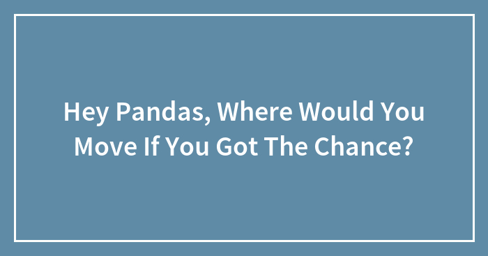 Hey Pandas, Where Would You Move If You Got The Chance? (Closed)