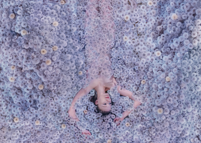 “Dandelions And Bubbles Like Dreams:” My Lockdown Photo Project (10 Pics)