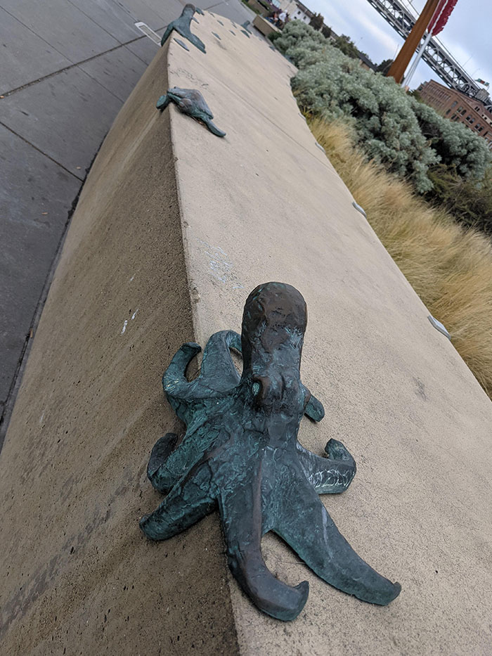 Those Sealife-Shaped Anti-Skateboarding Guards On Sf Embarcadero
