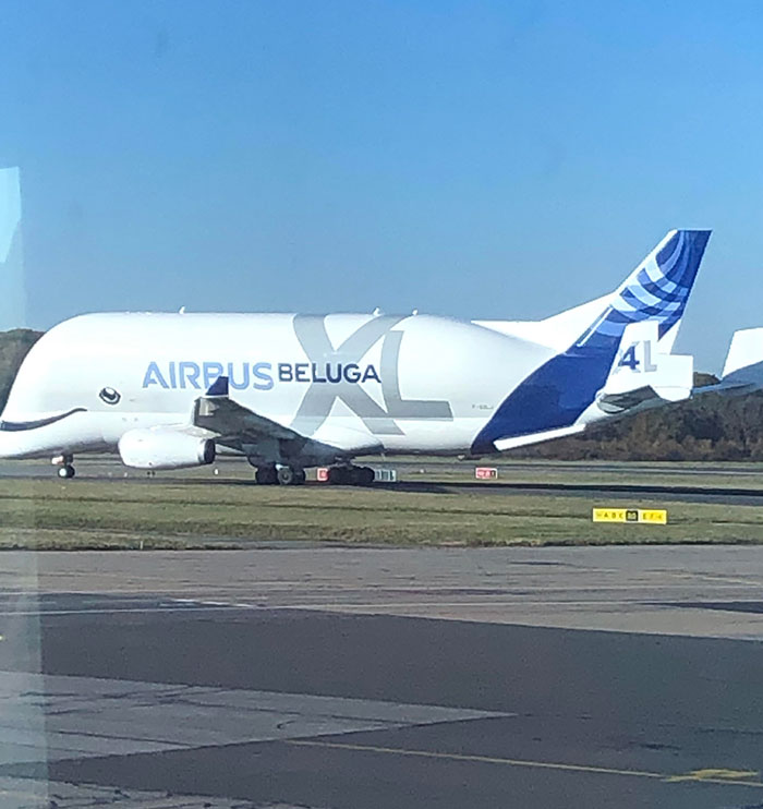 This Airplane Was Designed To Look Like A Whale