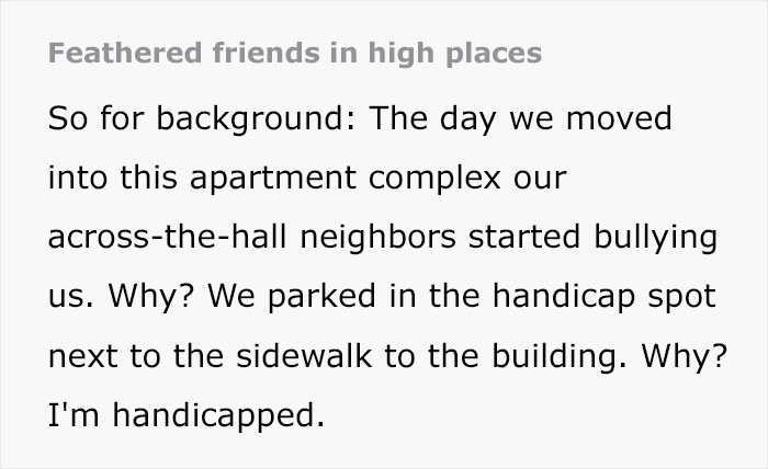 Person Watches Bully Neighbors Get Sweet Revenge, Discovers It's Done By The Crows They Befriended Earlier