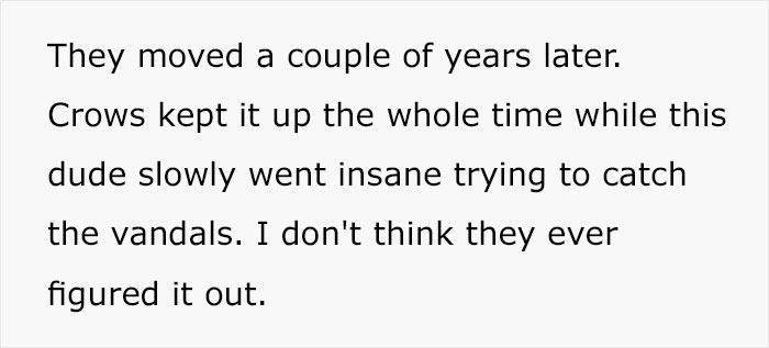 Person Watches Bully Neighbors Get Sweet Revenge, Discovers It's Done By The Crows They Befriended Earlier