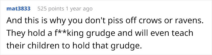 Person Watches Bully Neighbors Get Sweet Revenge, Discovers It's Done By The Crows They Befriended Earlier