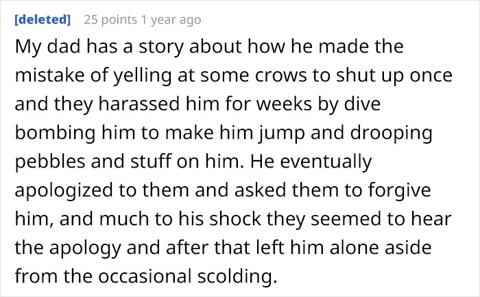 Person Watches Bully Neighbors Get Sweet Revenge, Discovers It's Done By The Crows They Befriended Earlier