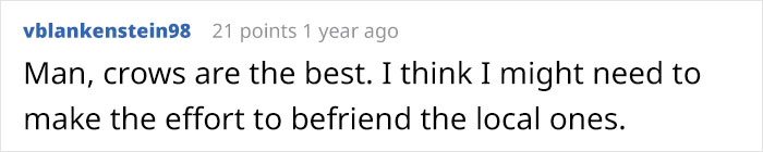 Person Watches Bully Neighbors Get Sweet Revenge, Discovers It's Done By The Crows They Befriended Earlier