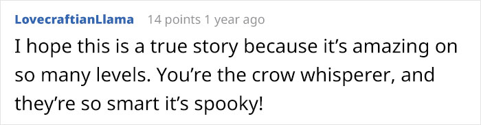 Person Watches Bully Neighbors Get Sweet Revenge, Discovers It's Done By The Crows They Befriended Earlier
