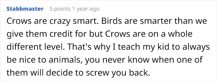 Person Watches Bully Neighbors Get Sweet Revenge, Discovers It's Done By The Crows They Befriended Earlier