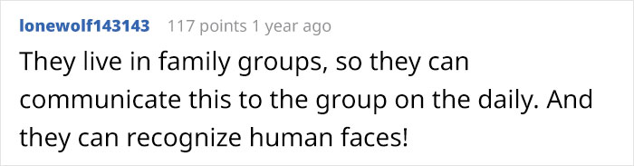 Person Watches Bully Neighbors Get Sweet Revenge, Discovers It's Done By The Crows They Befriended Earlier