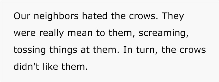 Person Watches Bully Neighbors Get Sweet Revenge, Discovers It's Done By The Crows They Befriended Earlier