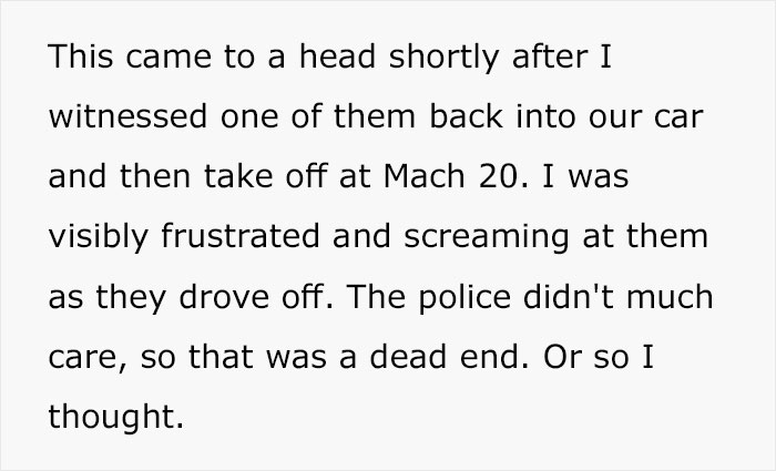 Person Watches Bully Neighbors Get Sweet Revenge, Discovers It's Done By The Crows They Befriended Earlier
