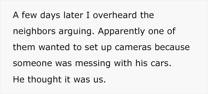 Person Watches Bully Neighbors Get Sweet Revenge, Discovers It's Done By The Crows They Befriended Earlier