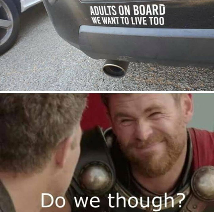 Car sticker with dark humor text, paired with a humorous facial reaction meme.