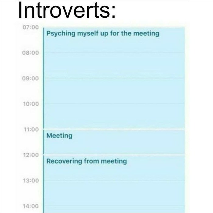Dark humor meme of an introvert's schedule with meeting prep and recovery times.