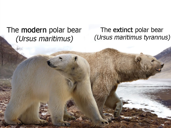 26 New Comparisons Of The Sizes Of Prehistoric Animal Ancestors And Their Modern Relatives By Roman Uchytel