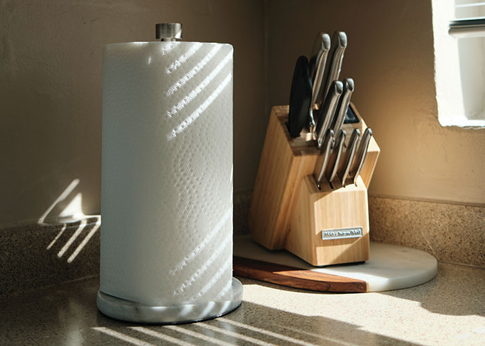Paper towel roll and knife block on kitchen counter with sunlight highlighting everyday kitchen items and secrets.