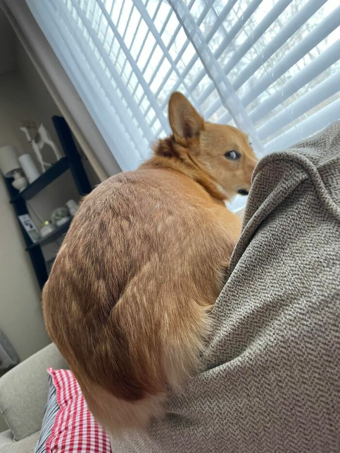 Don’t Tell Me I Don’t Fit Here. Mind Your Business