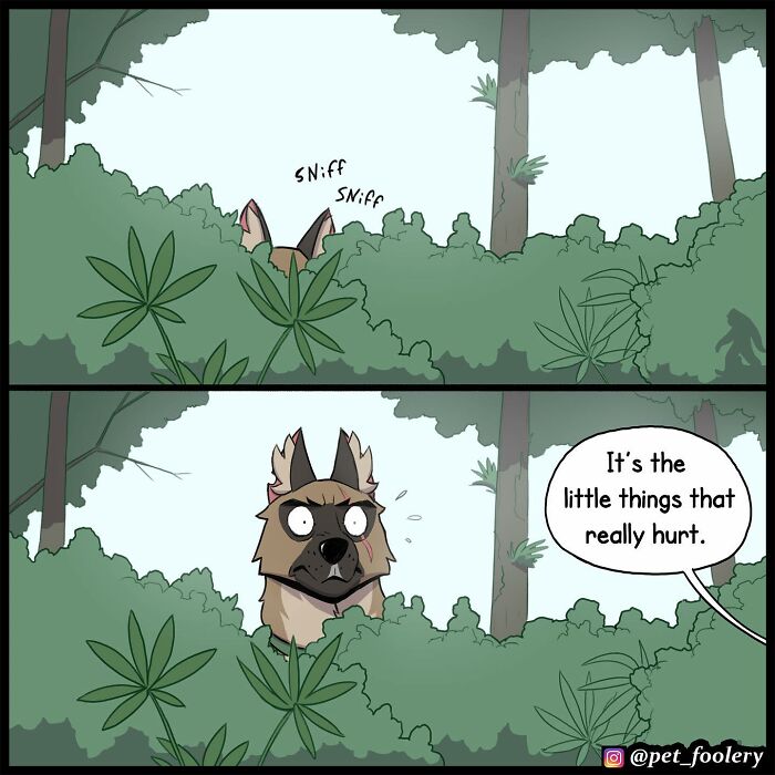 8 New Comic Strips Of Pixie And Brutus Adventures 8 New Comic Strips Of Pixie And Brutus Adventures