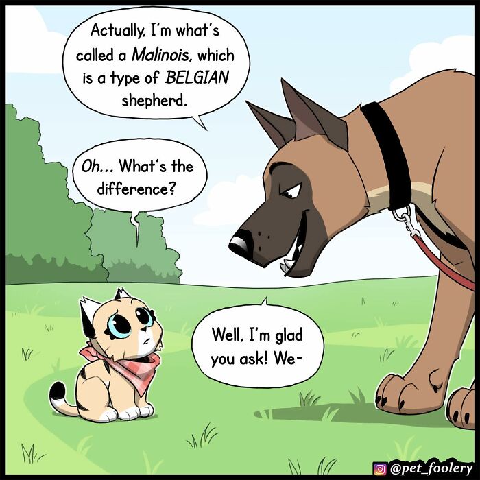 8 New Comic Strips Of Pixie And Brutus Adventures 8 New Comic Strips Of Pixie And Brutus Adventures