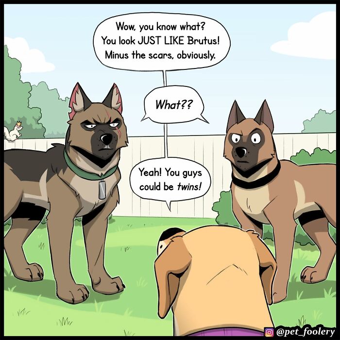 8 New Comic Strips Of Pixie And Brutus Adventures 8 New Comic Strips Of Pixie And Brutus Adventures