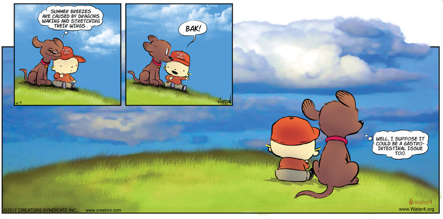 Chocolate Labs Are Not Weather Experts